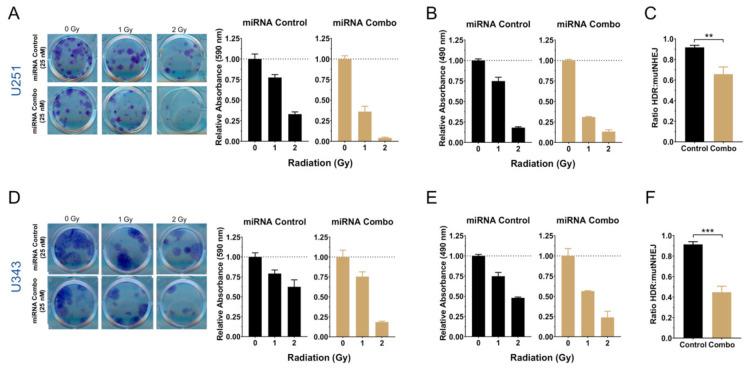 https://cdn.ncbi.nlm.nih.gov/pmc/blobs/0684/7831004/c325407bad16/cancers-13-00289-g007.jpg