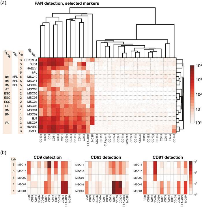 https://cdn.ncbi.nlm.nih.gov/pmc/blobs/0685/11170075/c331b6d0a718/JEV2-13-e12463-g005.jpg