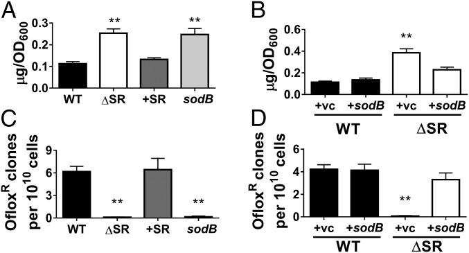 https://cdn.ncbi.nlm.nih.gov/pmc/blobs/0685/6166797/cd05448c279d/pnas.1804525115fig06.jpg