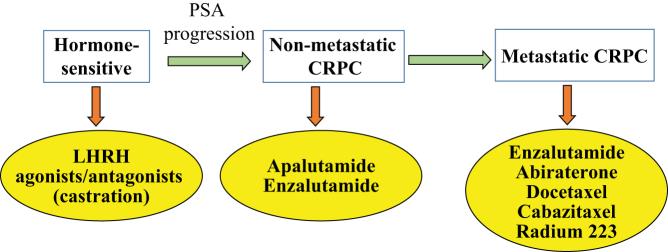 https://cdn.ncbi.nlm.nih.gov/pmc/blobs/0685/6365668/7e2b93a37988/EC-18-0425fig1.jpg