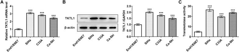 https://cdn.ncbi.nlm.nih.gov/pmc/blobs/0685/8684167/1e130a8968a4/12935_2021_2383_Fig1_HTML.jpg