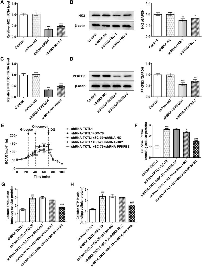 https://cdn.ncbi.nlm.nih.gov/pmc/blobs/0685/8684167/4c1ebbd61405/12935_2021_2383_Fig6_HTML.jpg