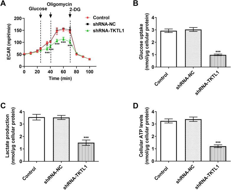 https://cdn.ncbi.nlm.nih.gov/pmc/blobs/0685/8684167/b2b121e437a8/12935_2021_2383_Fig4_HTML.jpg