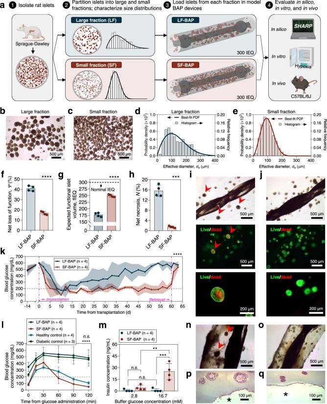 https://cdn.ncbi.nlm.nih.gov/pmc/blobs/0685/9561707/0f1f4ae47e39/41467_2022_33760_Fig4_HTML.jpg
