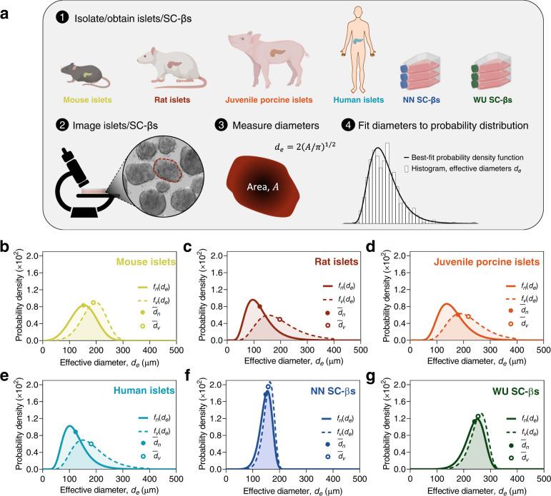 https://cdn.ncbi.nlm.nih.gov/pmc/blobs/0685/9561707/1254c87e63f7/41467_2022_33760_Fig1_HTML.jpg