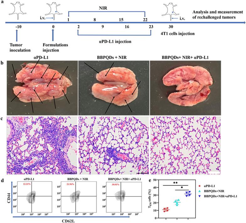 https://cdn.ncbi.nlm.nih.gov/pmc/blobs/0686/8201856/01ba8843361e/12951_2021_932_Fig8_HTML.jpg