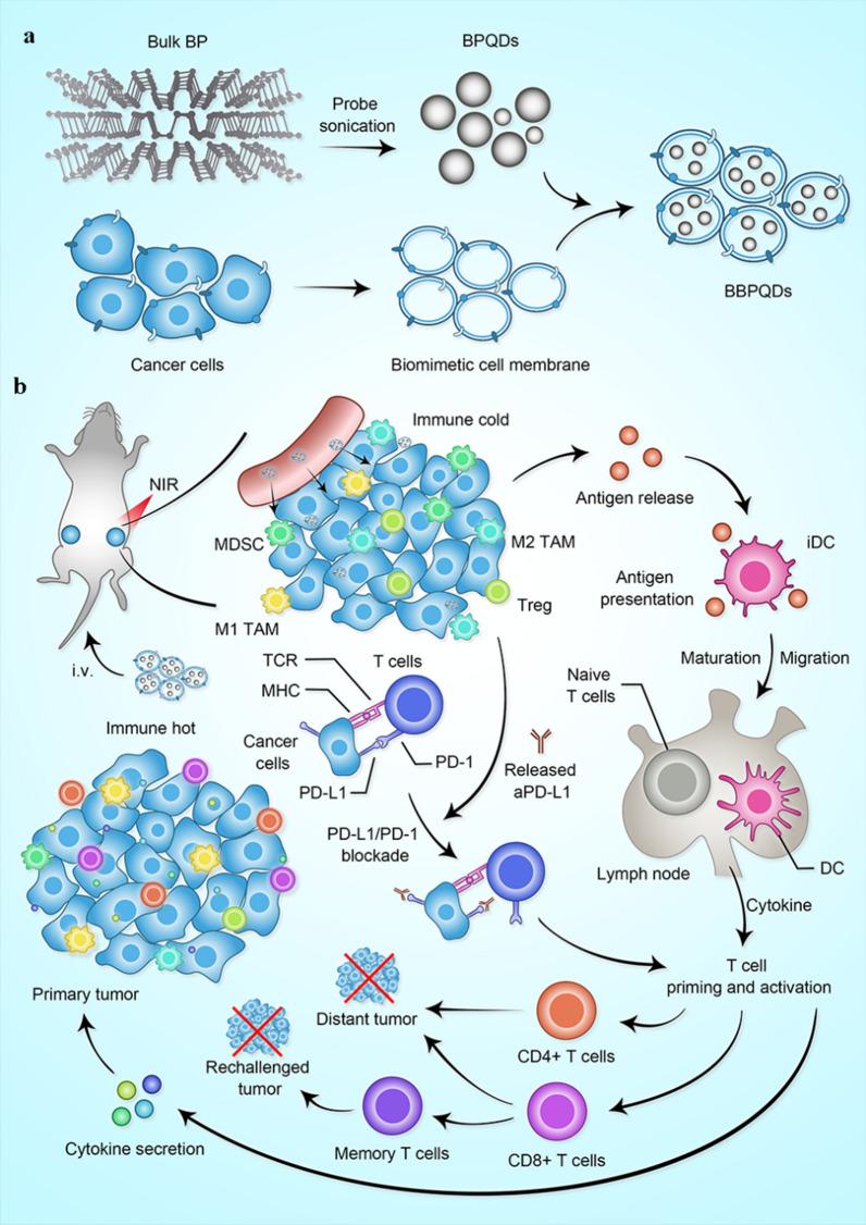 https://cdn.ncbi.nlm.nih.gov/pmc/blobs/0686/8201856/27651590fc15/12951_2021_932_Sch1_HTML.jpg