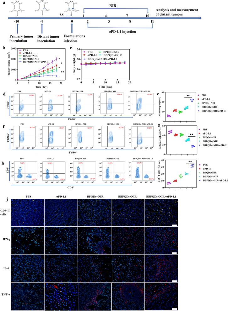 https://cdn.ncbi.nlm.nih.gov/pmc/blobs/0686/8201856/7dd57f6daf76/12951_2021_932_Fig7_HTML.jpg