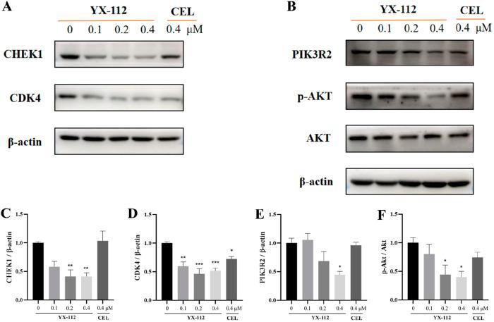 https://cdn.ncbi.nlm.nih.gov/pmc/blobs/0689/12037497/8f2d57888ced/fphar-16-1571135-g006.jpg