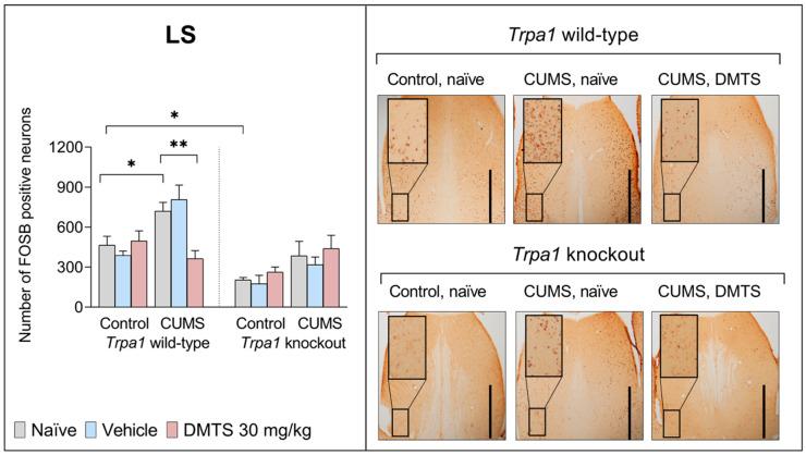 https://cdn.ncbi.nlm.nih.gov/pmc/blobs/068a/12196134/e9a165bf69ef/pharmaceutics-17-00781-g009.jpg