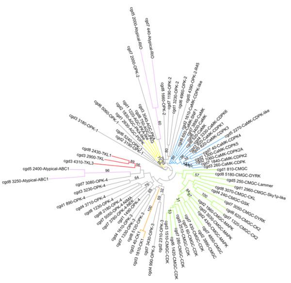 https://cdn.ncbi.nlm.nih.gov/pmc/blobs/068f/3227725/bb0233f83ce1/1471-2164-12-478-1.jpg