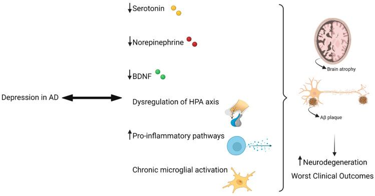 https://cdn.ncbi.nlm.nih.gov/pmc/blobs/068f/8467729/b6711d9f092e/pharmaceuticals-14-00930-g002.jpg