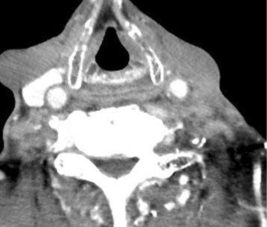 https://cdn.ncbi.nlm.nih.gov/pmc/blobs/0691/6478984/74875690961f/1349-7235-58-0933-g002.jpg