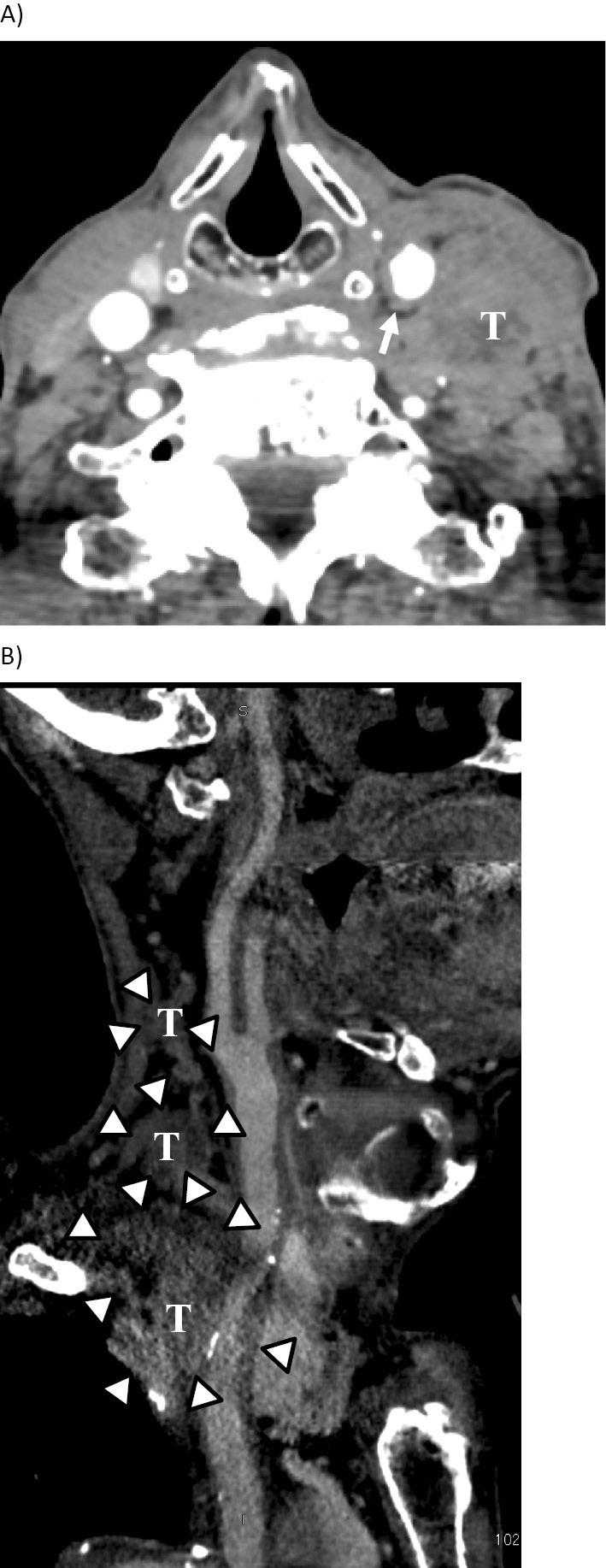 https://cdn.ncbi.nlm.nih.gov/pmc/blobs/0691/6478984/b2cd867731b0/1349-7235-58-0933-g001.jpg