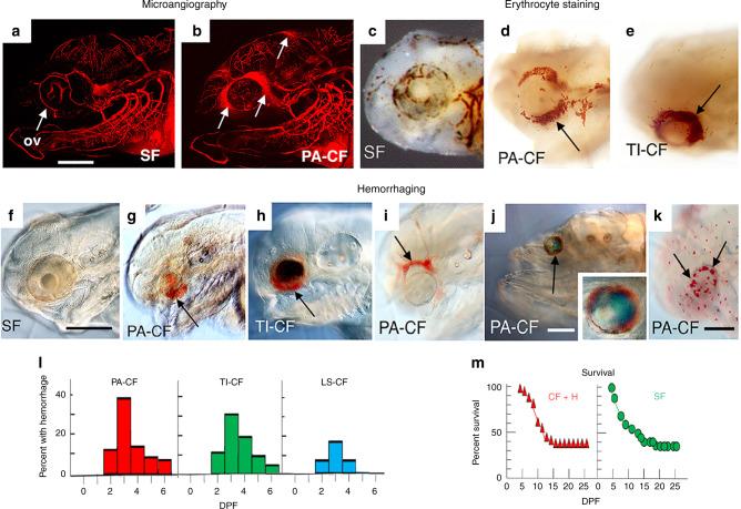 https://cdn.ncbi.nlm.nih.gov/pmc/blobs/0691/7265459/9f588d113d25/41467_2020_16497_Fig5_HTML.jpg