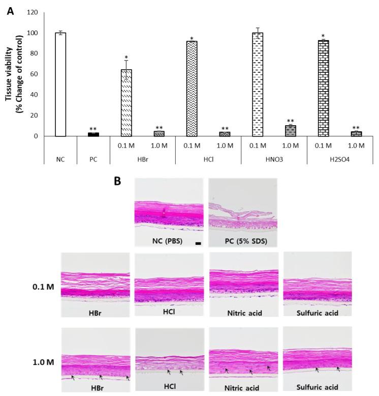 https://cdn.ncbi.nlm.nih.gov/pmc/blobs/0694/9610857/2cdfb3a499de/toxics-10-00558-g003.jpg