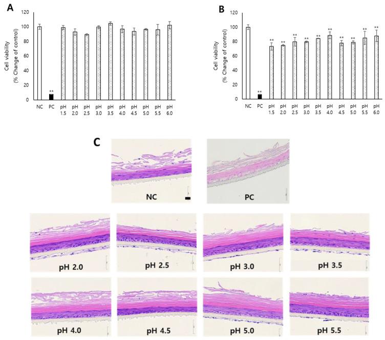 https://cdn.ncbi.nlm.nih.gov/pmc/blobs/0694/9610857/682a297befee/toxics-10-00558-g001.jpg
