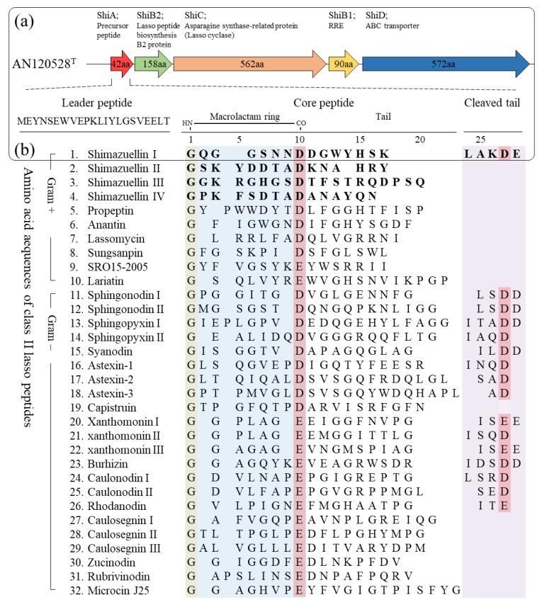 https://cdn.ncbi.nlm.nih.gov/pmc/blobs/0694/9774768/7da3cbb7e6f4/bioengineering-09-00812-g004.jpg