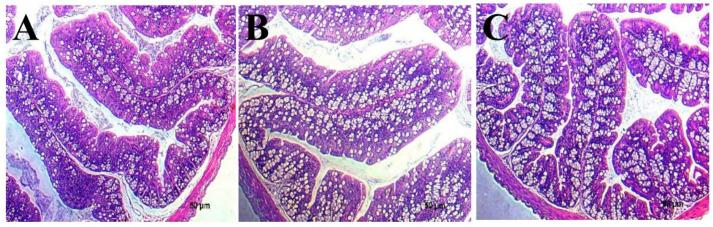 https://cdn.ncbi.nlm.nih.gov/pmc/blobs/0695/11052236/47fdef19e2d1/microorganisms-12-00730-g008.jpg