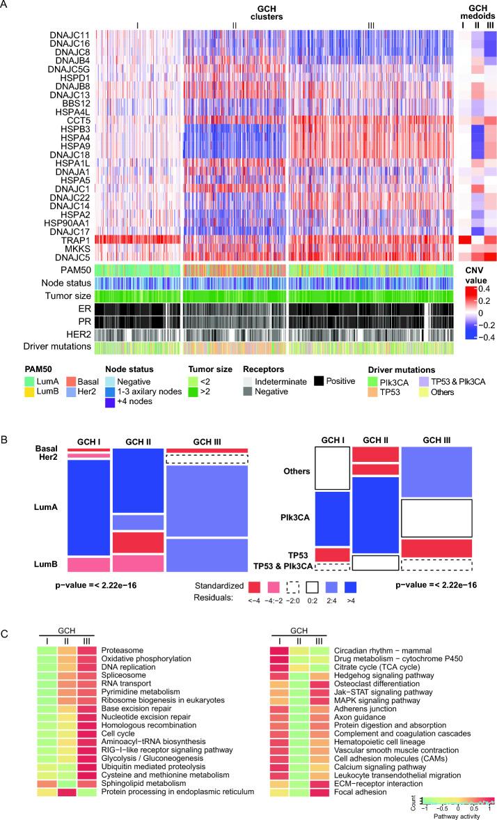 https://cdn.ncbi.nlm.nih.gov/pmc/blobs/0695/11139924/1b932f76fa79/41598_2024_61807_Fig6_HTML.jpg