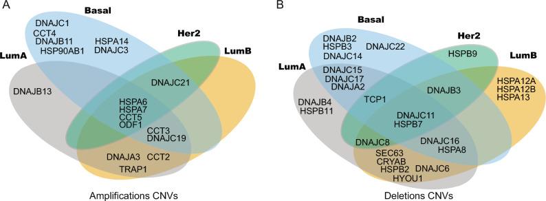 https://cdn.ncbi.nlm.nih.gov/pmc/blobs/0695/11139924/3389cfc84174/41598_2024_61807_Fig3_HTML.jpg