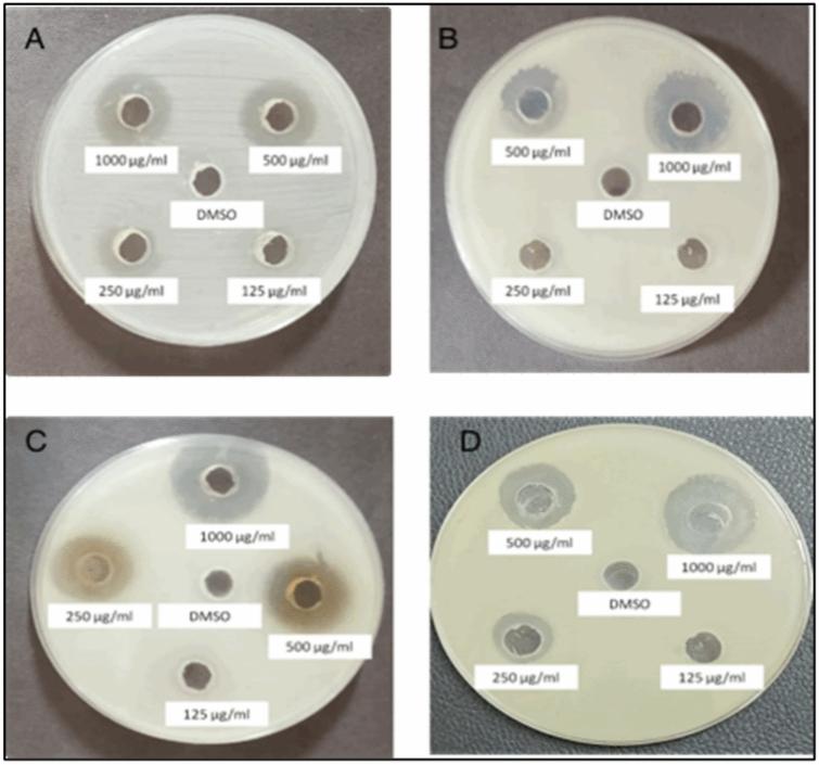 https://cdn.ncbi.nlm.nih.gov/pmc/blobs/0695/11685889/3b9872fcf74a/41598_2024_83199_Fig2_HTML.jpg