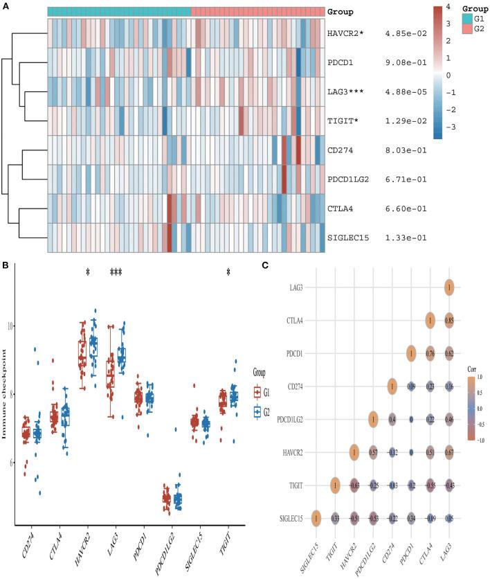 https://cdn.ncbi.nlm.nih.gov/pmc/blobs/0696/8873927/12c21444ce3c/fcvm-09-836067-g0005.jpg