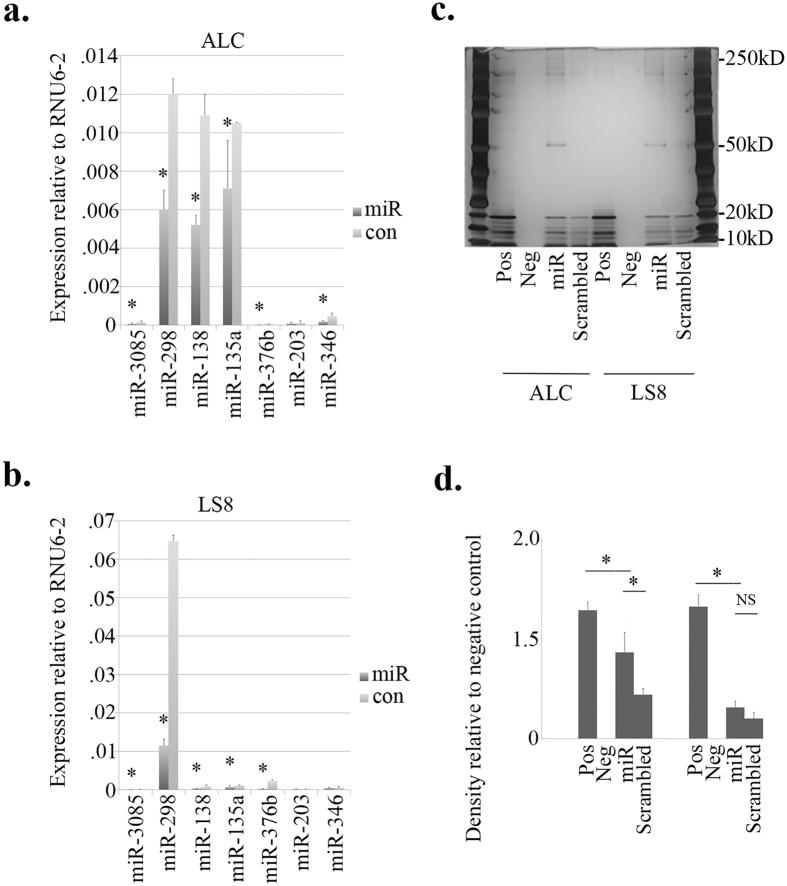 https://cdn.ncbi.nlm.nih.gov/pmc/blobs/0699/5347039/2e8075385719/srep44118-f6.jpg
