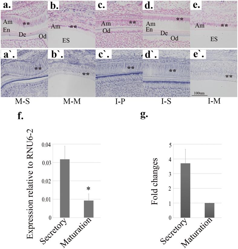 https://cdn.ncbi.nlm.nih.gov/pmc/blobs/0699/5347039/c6f27cbb4739/srep44118-f1.jpg