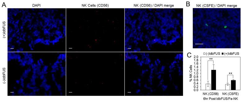 https://cdn.ncbi.nlm.nih.gov/pmc/blobs/069a/4640510/c783f0de6c2b/pone.0142767.g008.jpg