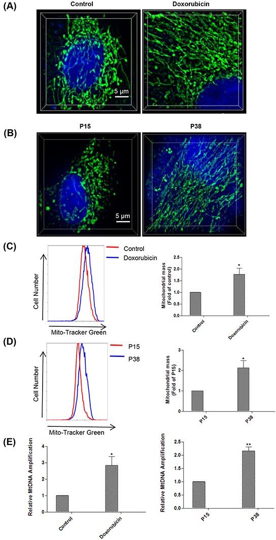 https://cdn.ncbi.nlm.nih.gov/pmc/blobs/069a/5053727/798b803cd72c/oncotarget-07-28286-g003.jpg