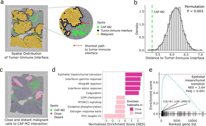 https://cdn.ncbi.nlm.nih.gov/pmc/blobs/069b/9895078/0fb2fcadbfc7/41467_2023_36062_Fig6_HTML.jpg