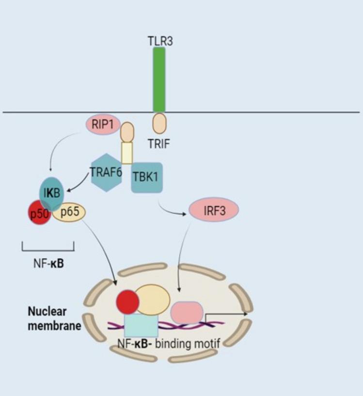 https://cdn.ncbi.nlm.nih.gov/pmc/blobs/069d/11923325/61acb17f6043/18_2025_5631_Fig4_HTML.jpg