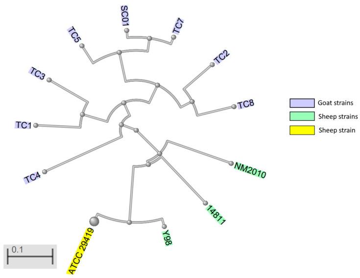 https://cdn.ncbi.nlm.nih.gov/pmc/blobs/069f/9781387/bdb9cb2720a5/pathogens-11-01477-g001.jpg