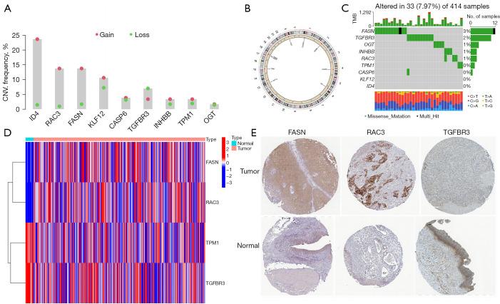 https://cdn.ncbi.nlm.nih.gov/pmc/blobs/06a0/10928602/41ebfbd49d05/tcr-13-02-579-f4.jpg