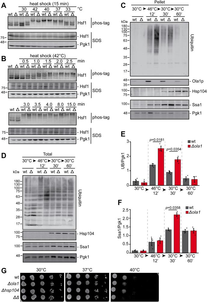 https://cdn.ncbi.nlm.nih.gov/pmc/blobs/06a0/8531669/4a9004a84039/gr4.jpg