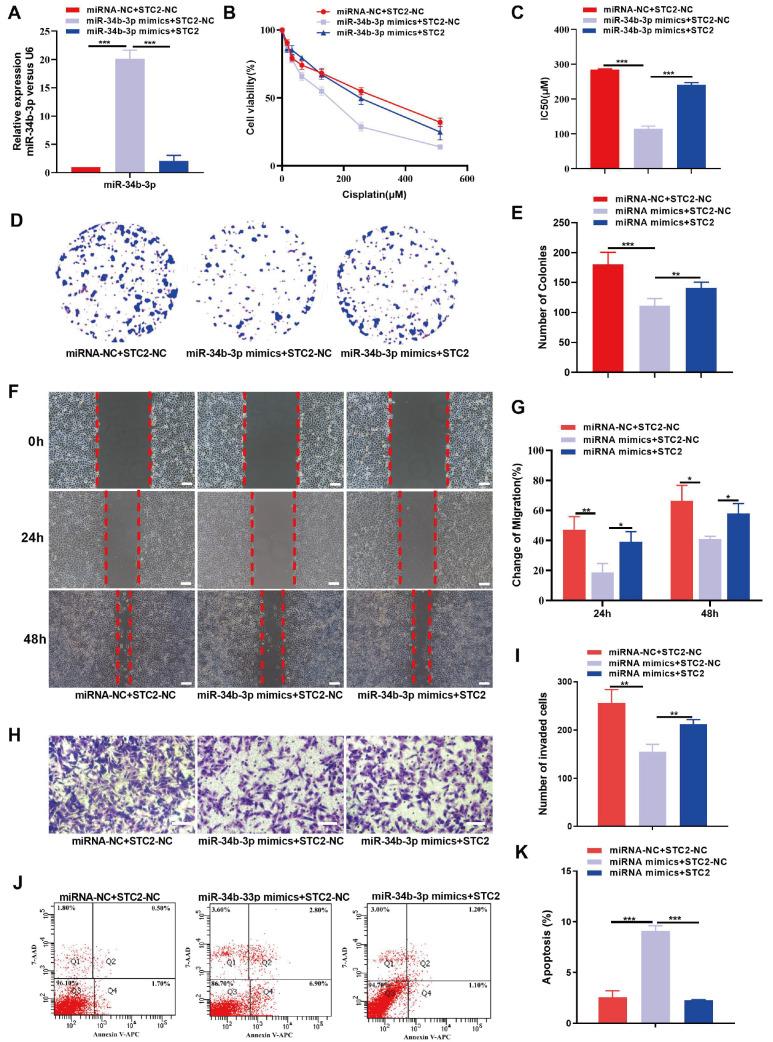 https://cdn.ncbi.nlm.nih.gov/pmc/blobs/06a3/11177115/5f410755cc80/ABBS-2023-471-t5.jpg