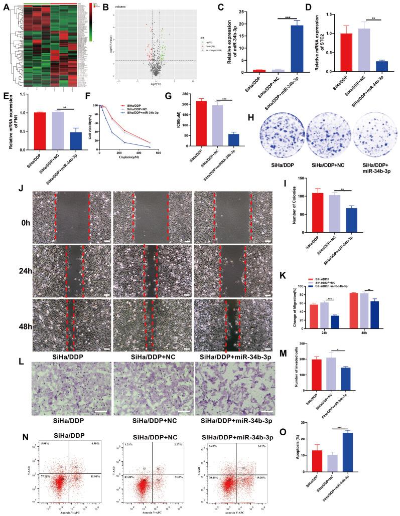 https://cdn.ncbi.nlm.nih.gov/pmc/blobs/06a3/11177115/c5f40fae4e78/ABBS-2023-471-t2.jpg