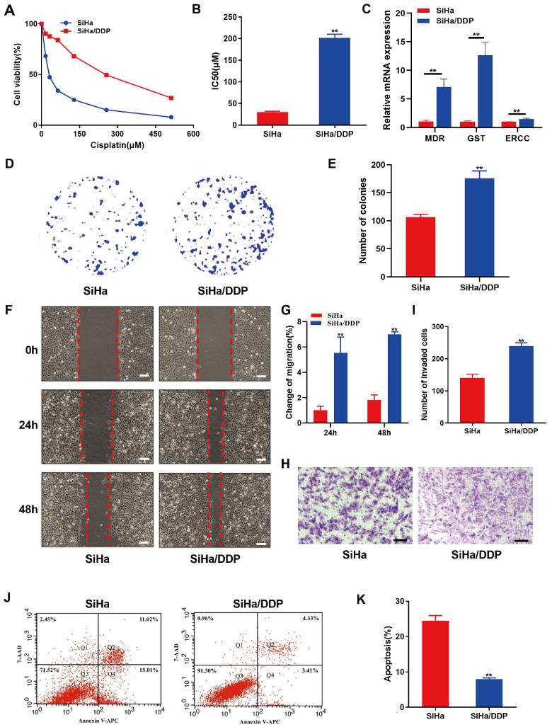 https://cdn.ncbi.nlm.nih.gov/pmc/blobs/06a3/11177115/eec539962c68/ABBS-2023-471-t1.jpg