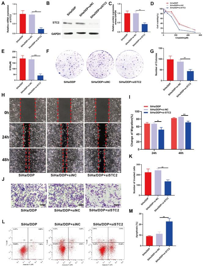 https://cdn.ncbi.nlm.nih.gov/pmc/blobs/06a3/11177115/efb7d2bea2bb/ABBS-2023-471-t3.jpg