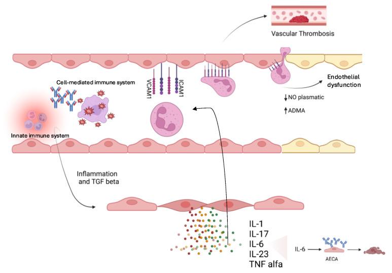https://cdn.ncbi.nlm.nih.gov/pmc/blobs/06a4/11676170/4bea22a91cc8/ijms-25-13322-g001.jpg