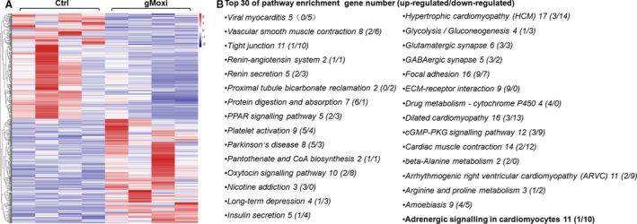 https://cdn.ncbi.nlm.nih.gov/pmc/blobs/06a4/7957214/dd8dbb43bc46/JCMM-25-2900-g001.jpg