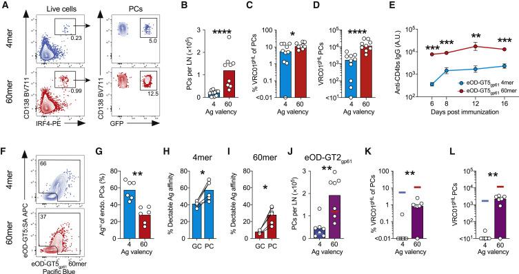 https://cdn.ncbi.nlm.nih.gov/pmc/blobs/06a5/7451196/5748e690d487/gr6_lrg.jpg