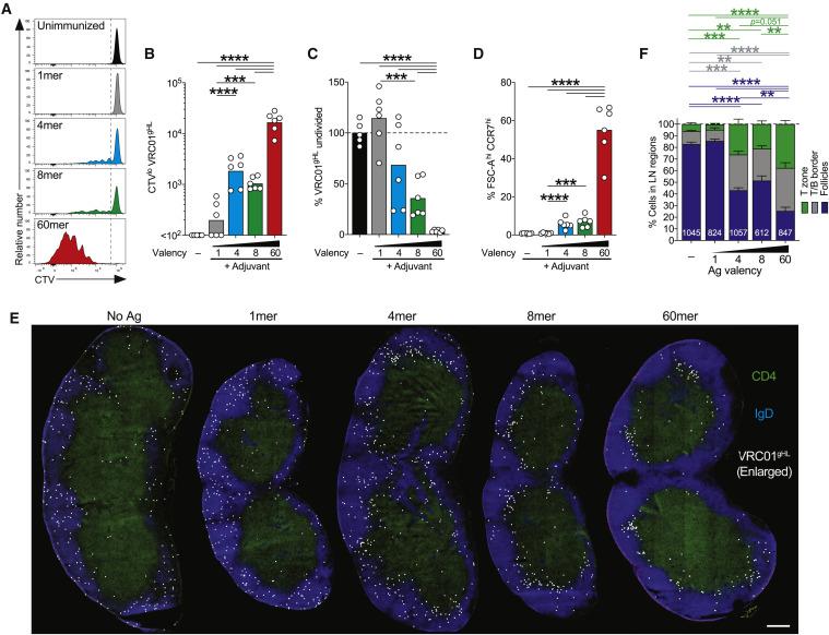 https://cdn.ncbi.nlm.nih.gov/pmc/blobs/06a5/7451196/baed9dd4c2b4/gr2_lrg.jpg