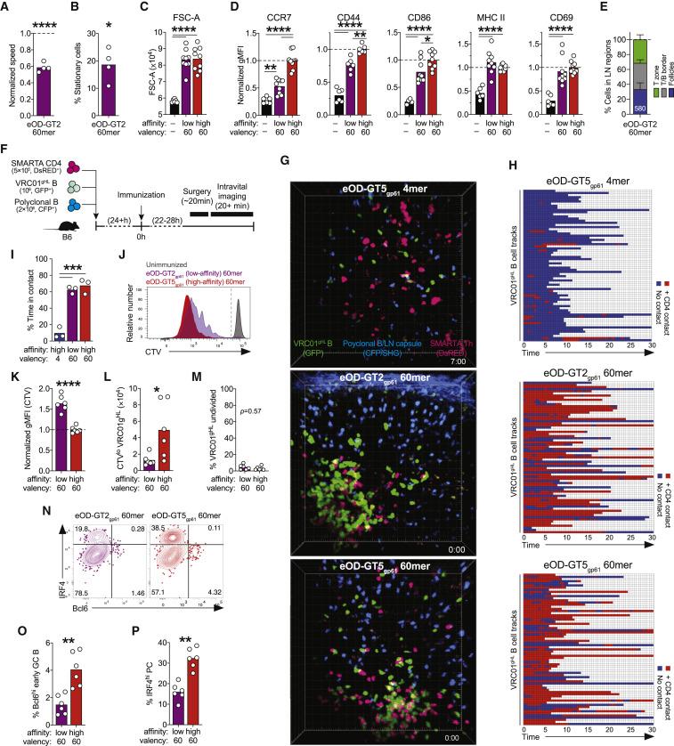 https://cdn.ncbi.nlm.nih.gov/pmc/blobs/06a5/7451196/c71773ed901e/gr4_lrg.jpg