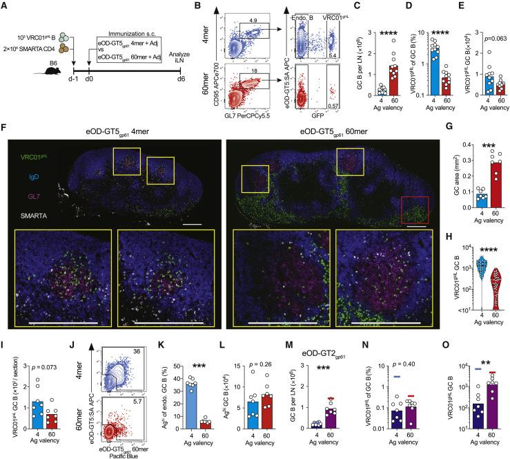 https://cdn.ncbi.nlm.nih.gov/pmc/blobs/06a5/7451196/dd00749cbd88/gr5_lrg.jpg