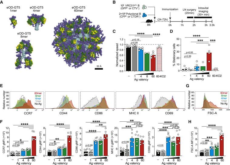 https://cdn.ncbi.nlm.nih.gov/pmc/blobs/06a5/7451196/ea83eedbf940/gr1_lrg.jpg