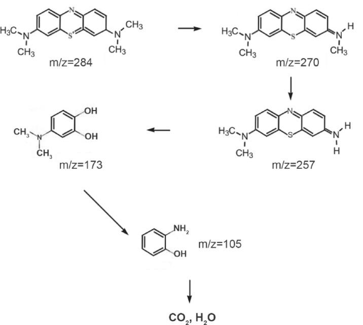 https://cdn.ncbi.nlm.nih.gov/pmc/blobs/06a6/12043999/40b9c84be3fa/41598_2025_99384_Fig6_HTML.jpg