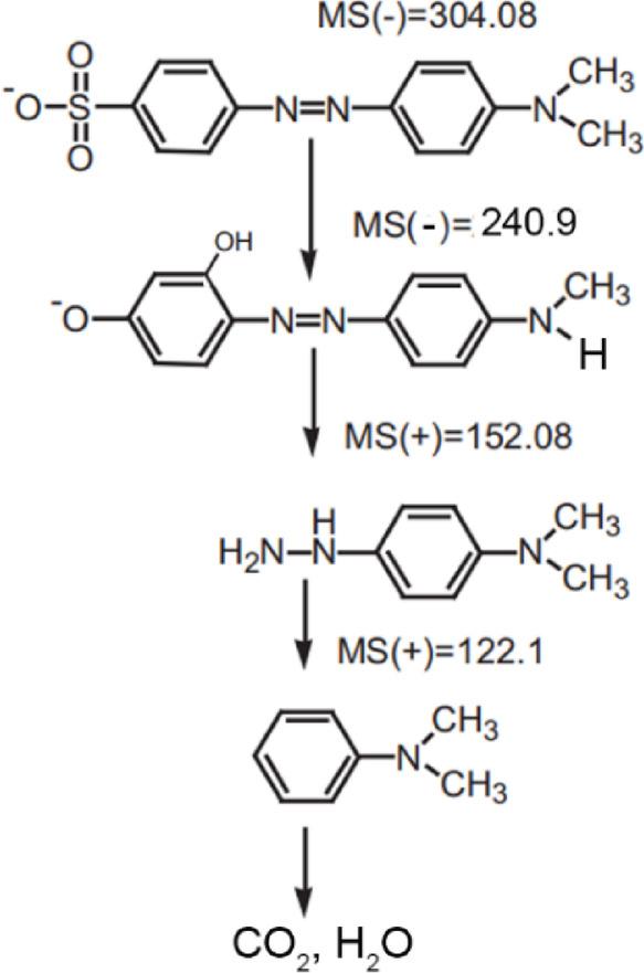 https://cdn.ncbi.nlm.nih.gov/pmc/blobs/06a6/12043999/8f98e9b20850/41598_2025_99384_Fig7_HTML.jpg