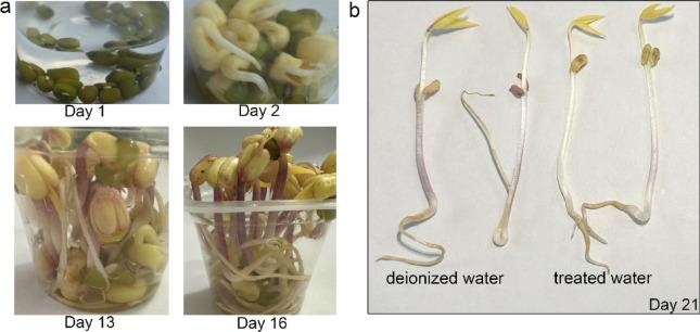 https://cdn.ncbi.nlm.nih.gov/pmc/blobs/06a6/12043999/e2a3de7053c8/41598_2025_99384_Fig9_HTML.jpg